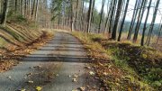 Tato část není značená, jdeme podle mapy (na mapě to je označeno jako lesní silnička), 