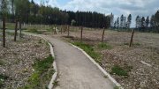 Škoda, že část byla kvůli kůrovci vykácená, ale stejně je na co koukat.