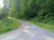 V první části trasy je poměrně náročné stoupání