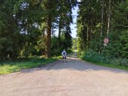 Druhá část trasy je kouzelná cesta lesem víceméně po rovině.