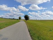 Opět krásná asfaltka, na obzoru je vidět topol, kolem kterého už jsme jeli na Voděrady. My teď ale pojedeme pořád rovně.