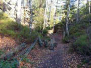 Začínají Liščí díry