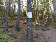 Přecházíme na červenou.