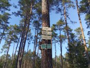 Křižovatka se zelenou.