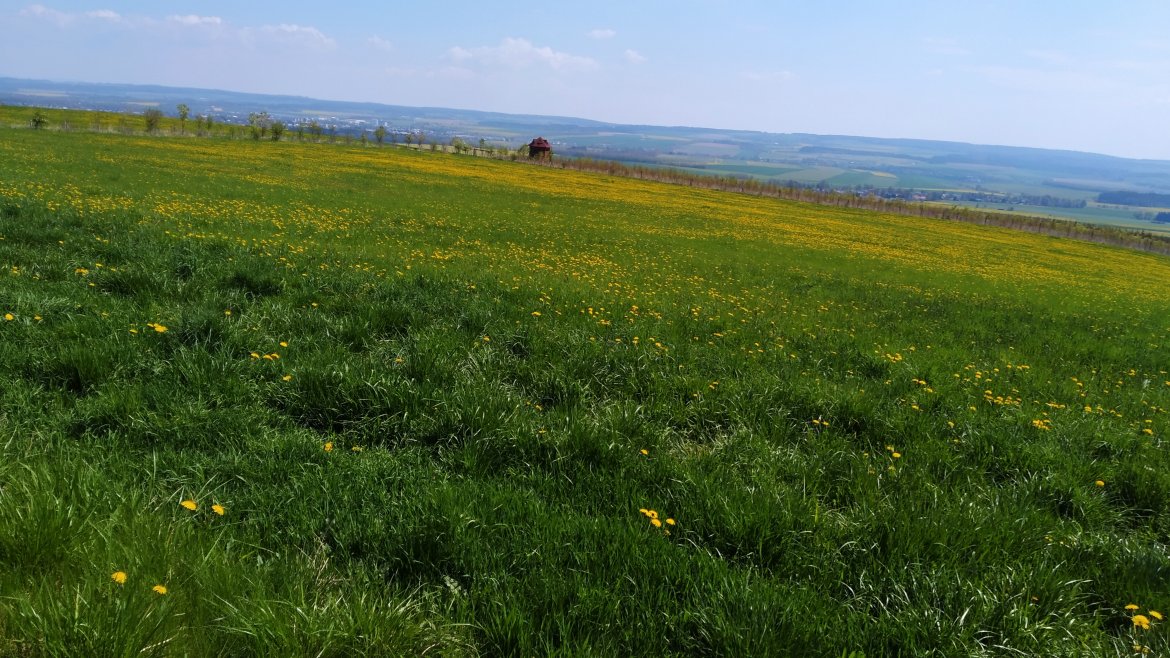Z Vendolí přes Vyhlídkový altán a Vodárenský les do Svitav