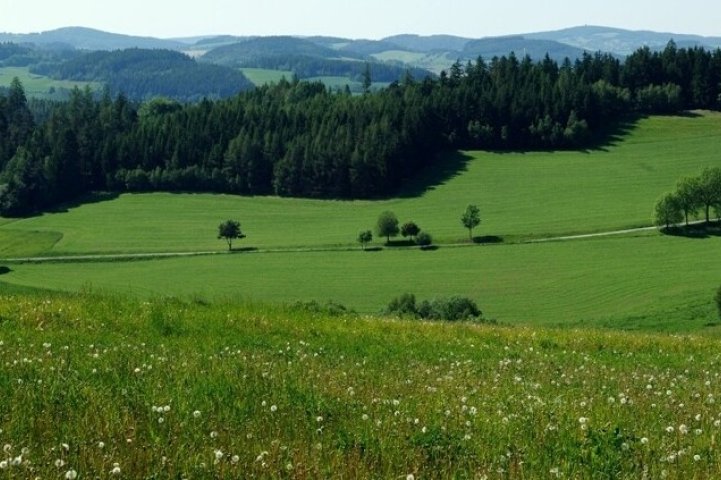 Jimramov